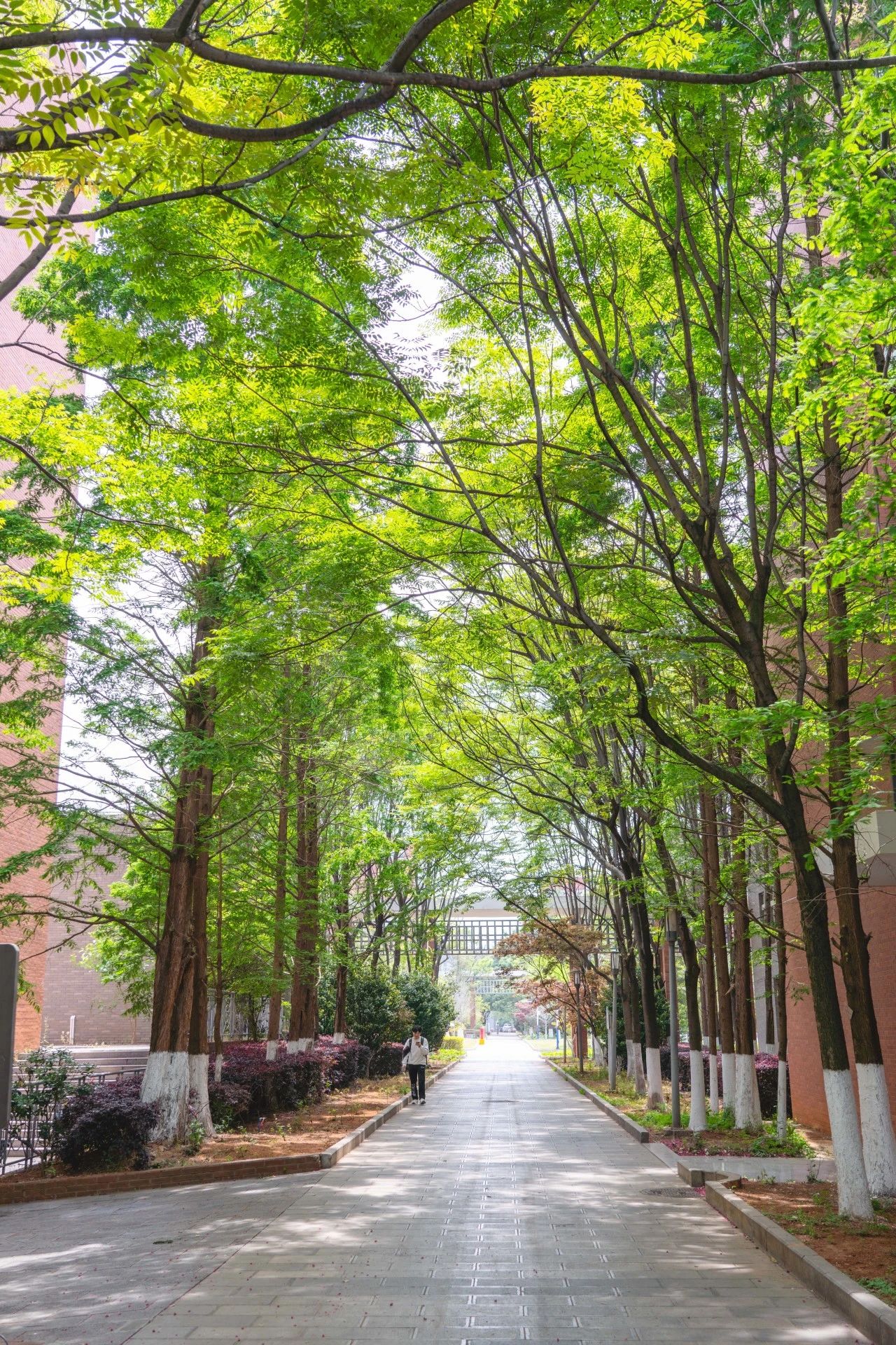 云经管专科→昆工博士,“母校才是最强外挂”! 第 12 张 云经管专科→昆工博士,“母校才是最强外挂”! 第 12 张