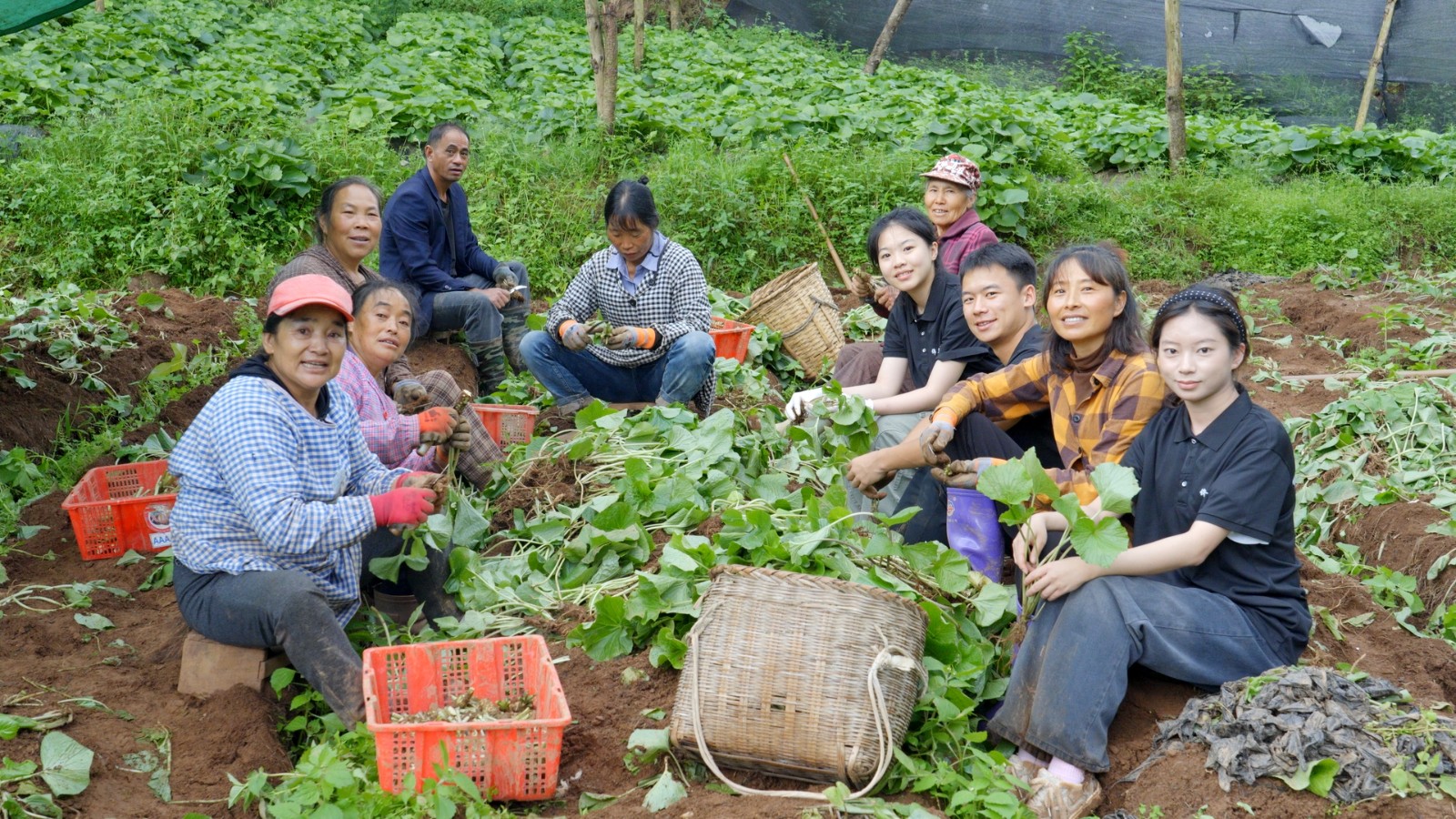 太上头了🤤,这个蘸料经管人研发的! 第 8 张 太上头了🤤,这个蘸料经管人研发的! 第 8 张