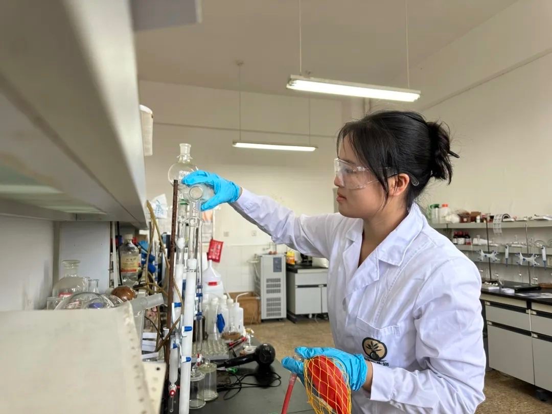 云经管女生获专升本免试,还被学校奖励50万! 第 9 张 云经管女生获专升本免试,还被学校奖励50万! 第 9 张