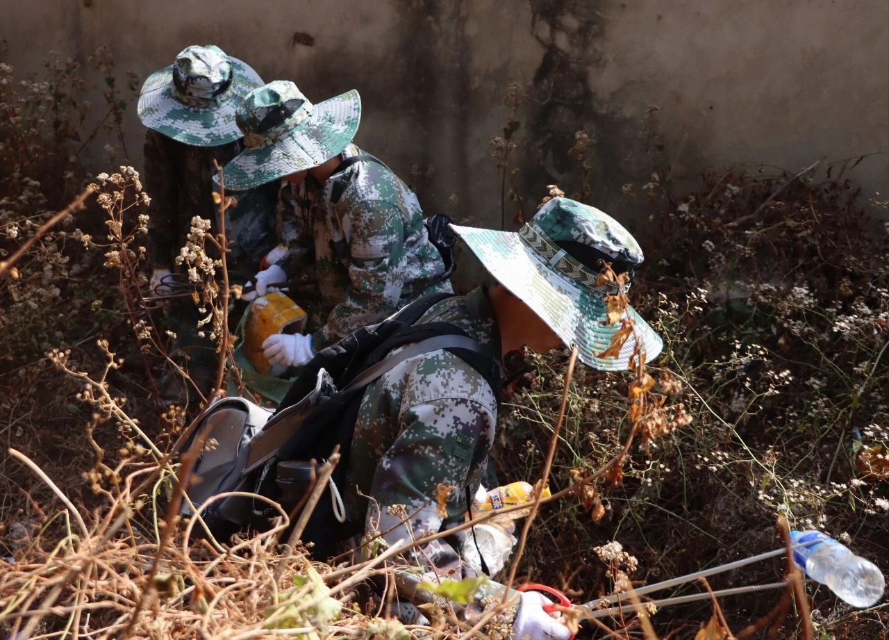 垃圾不落地 山林更美丽——黑林铺街道与云南经济管理学院开展护林环保行动 第 10 张 垃圾不落地 山林更美丽——黑林铺街道与云南经济管理学院开展护林环保行动 第 10 张