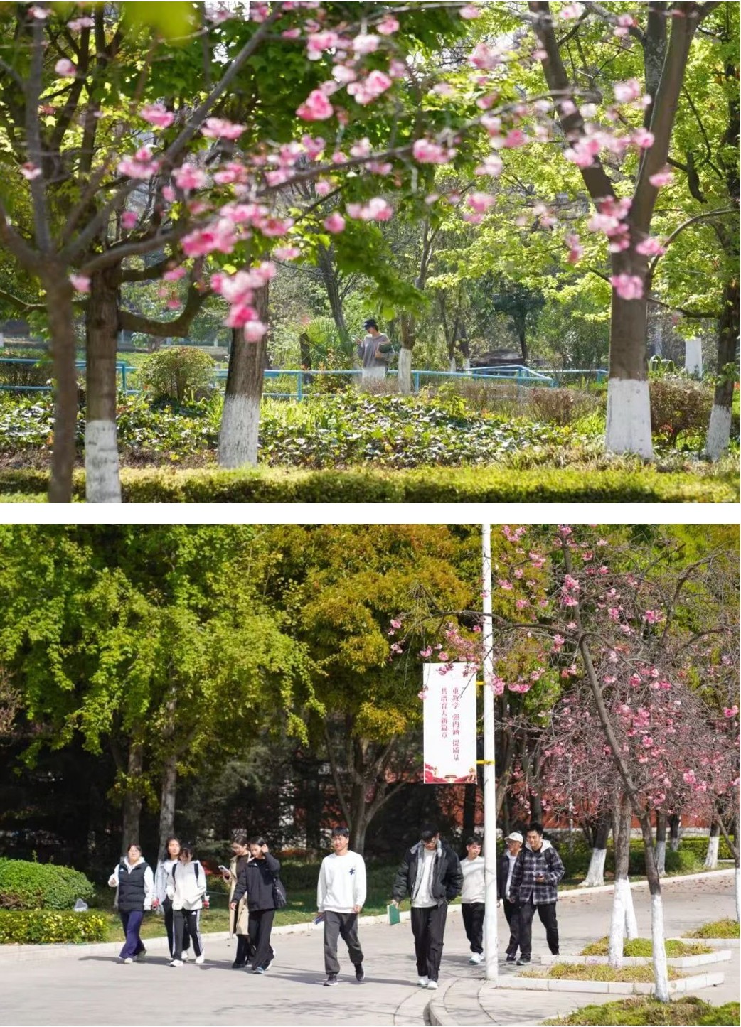 今天，云经管开学第一天！ 第 13 张